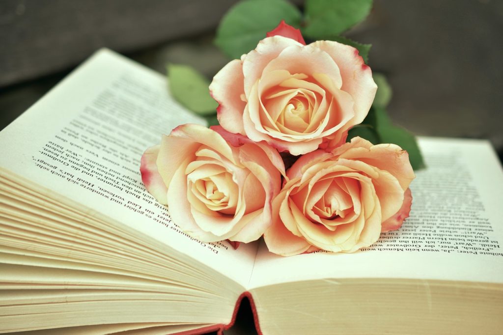 Розы на раскрытой книге