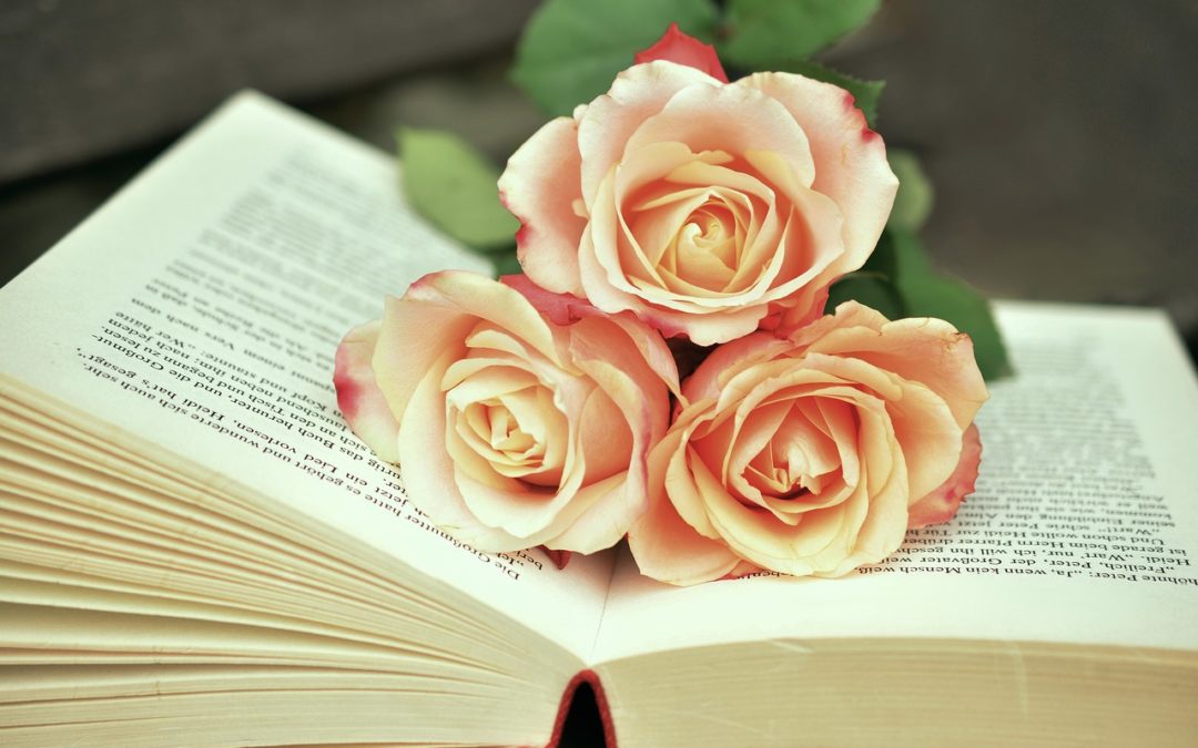 Розы на раскрытой книге